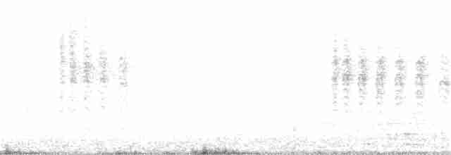 Klappergrasmücke (curruca/blythi/halimodendri) - ML50233361