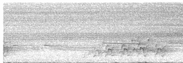 Лінивка-чорнопер білолоба - ML502393201
