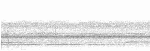Variegated Tinamou - ML502393641