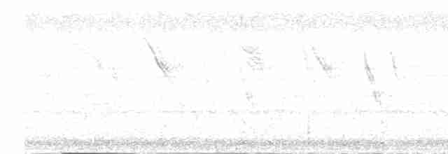 snovač černohlavý - ML502401221