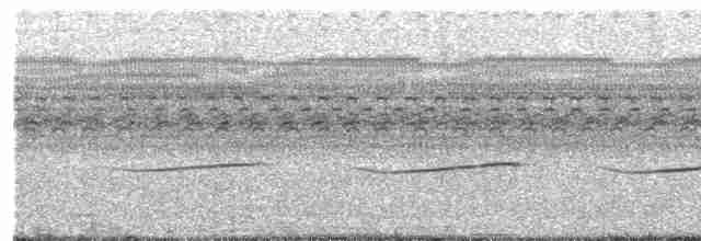 Ak Karınlı Tohumcul - ML502451921