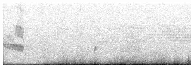 White-browed Meadowlark - ML502453761