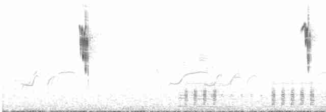 ハジロオーストラリアムシクイ - ML502461861
