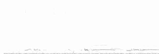 Cisne Chico (neártico) - ML502528611