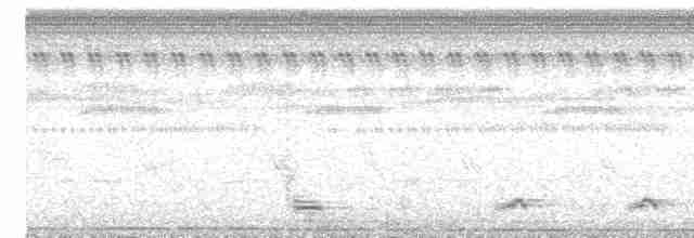 Bindenschwanz-Nachtschwalbe - ML502552491