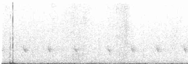 Kara Karınlı Karıncakuşu - ML502564101