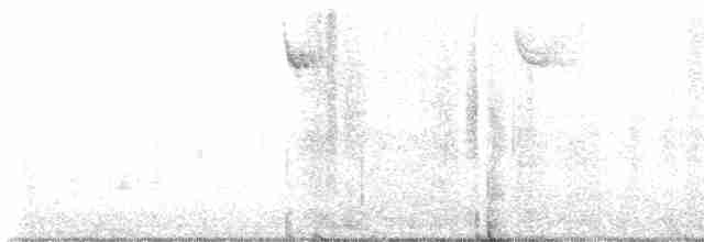 Дятел-смоктун жовточеревий - ML502597721