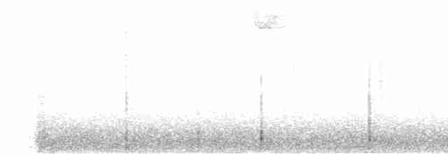 Pileated Woodpecker - ML502638141