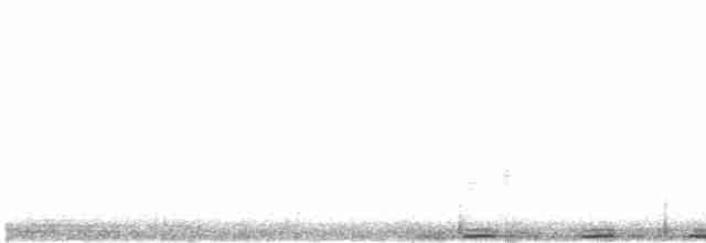 trubač bělokřídlý - ML502638381