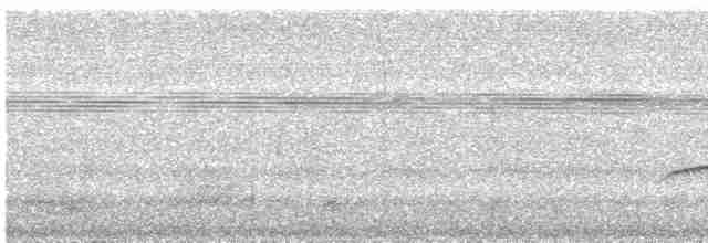 Bluish-slate Antshrike - ML502658571