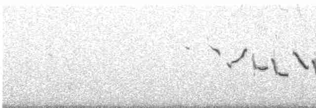 Chestnut-collared Longspur - ML502747221