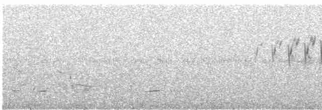Щеврик прерієвий - ML502818251
