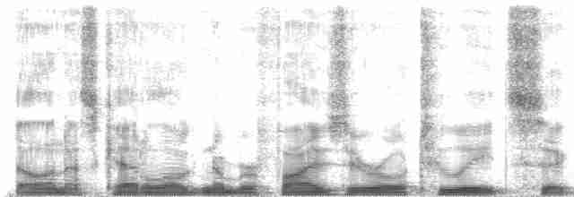 ML50286 visualization