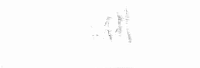 Зерноїд мальований - ML50287381