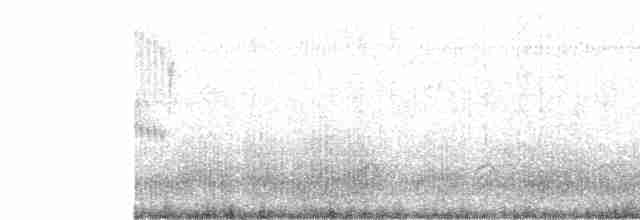 Araucaria Tit-Spinetail - ML502880281