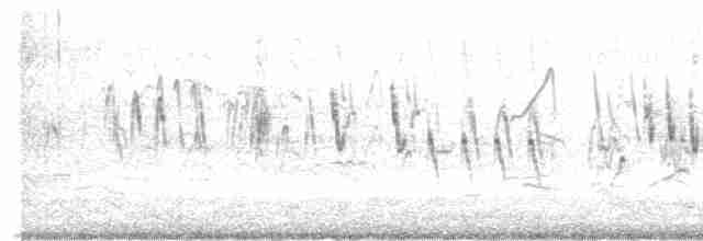 australlerke (javanica gr.) - ML502885081