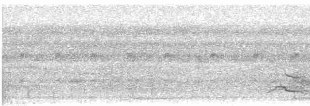 Лінивка-чорнопер жовтодзьоба - ML502974751