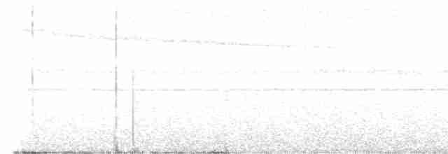 Spot-necked Babbler - ML503194071
