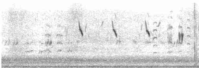 Singing Bushlark (Australasian) - ML503203571
