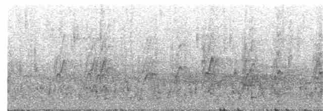China-Rotschnabelbülbül [leucocephalus-Gruppe] - ML50321901