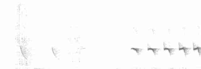 Kara Kuyruklu Karıncakuşu - ML503219741