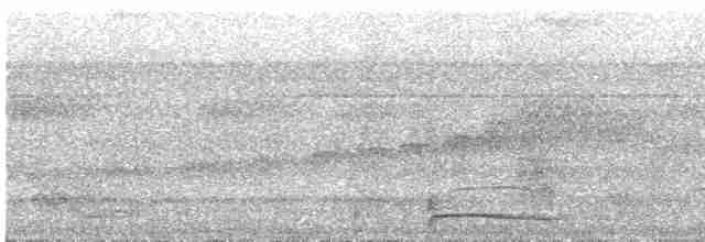 Black-tailed Trogon - ML503282791