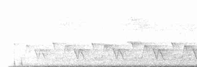 White-breasted Wood-Wren (Cherrie's) - ML503419481