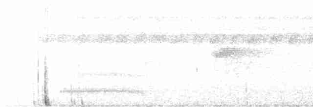 Güneyli Bükük Gagalı Tiran - ML503421221
