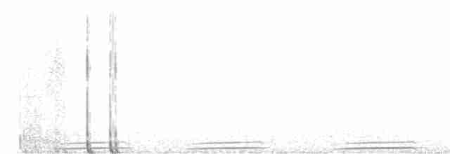 Сероголовая перепелиная горлица - ML503469961