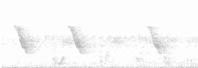Common Tailorbird - ML503602951