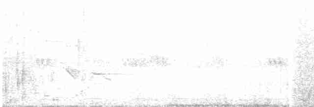Greenish Warbler - ML503602991