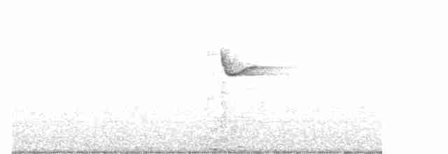 Malachite Sunbird - ML503608471