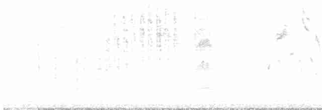 Troglodyte des marais - ML503619211