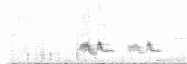 Большой галапагосский вьюрок - ML503689671
