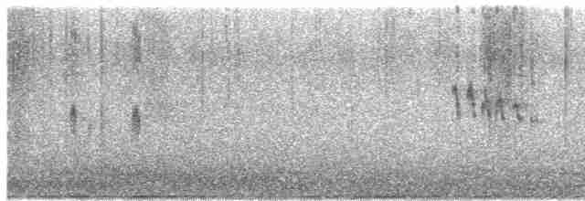 Mirlo Acuático Norteamericano - ML503755341