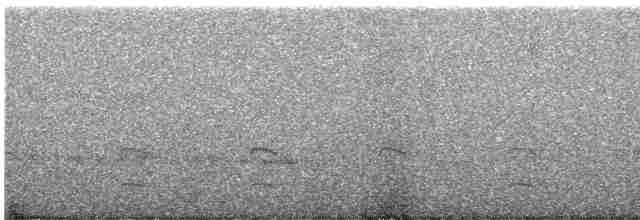 Бігунець плямистоволий - ML503848951