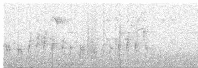 Лінивка-чорнопер жовтодзьоба - ML503854201