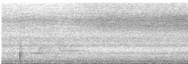 Усатый шипоклюв - ML503859721