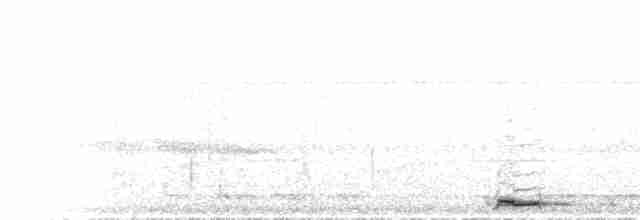 Boyalı Yerkuzgunu - ML503959011