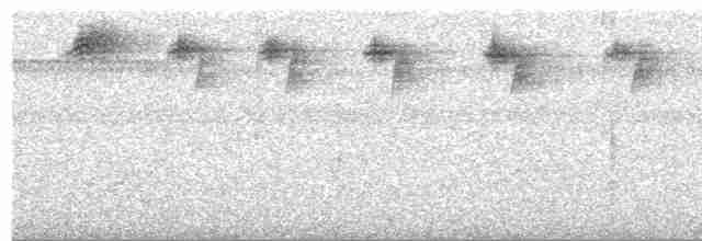 Черногорлый колибри-отшельник - ML504006511