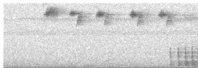 Черногорлый колибри-отшельник - ML504006531