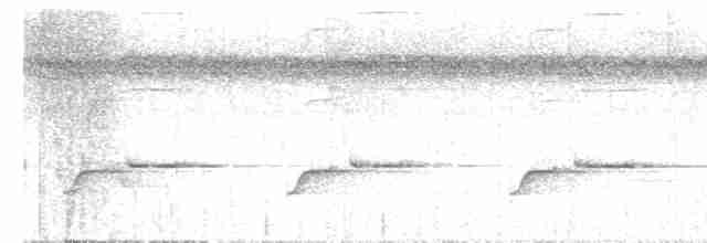 Çizgili Gerdanlı Çıtkuşu - ML504076311