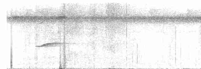 Çizgili Gerdanlı Çıtkuşu - ML504076321