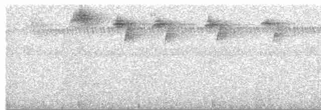 Черногорлый колибри-отшельник - ML504091981
