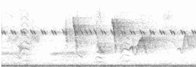 ML504240561 visualization