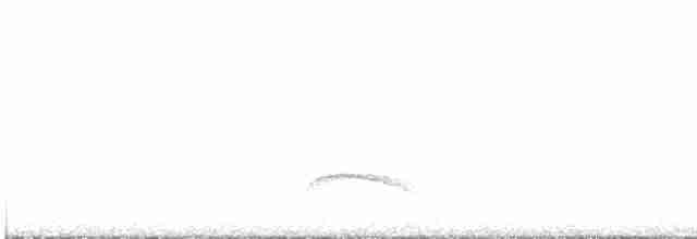 White-crested Elaenia - ML504246971