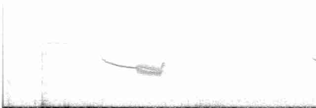 Band-winged Nightjar (Austral) - ML504247181