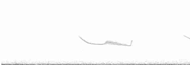 Band-winged Nightjar (Austral) - ML504247191