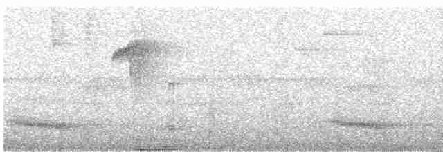 Channel-billed Toucan (Yellow-ridged) - ML504404901