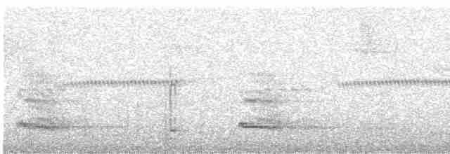 Channel-billed Toucan (Yellow-ridged) - ML504405111